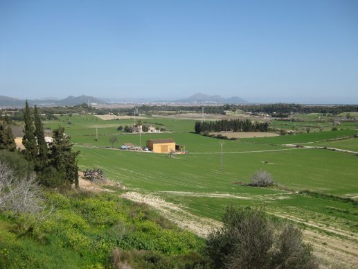 Fields with some small buildings